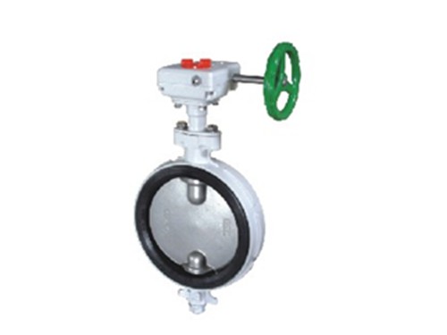 Against condensation butterfly valve